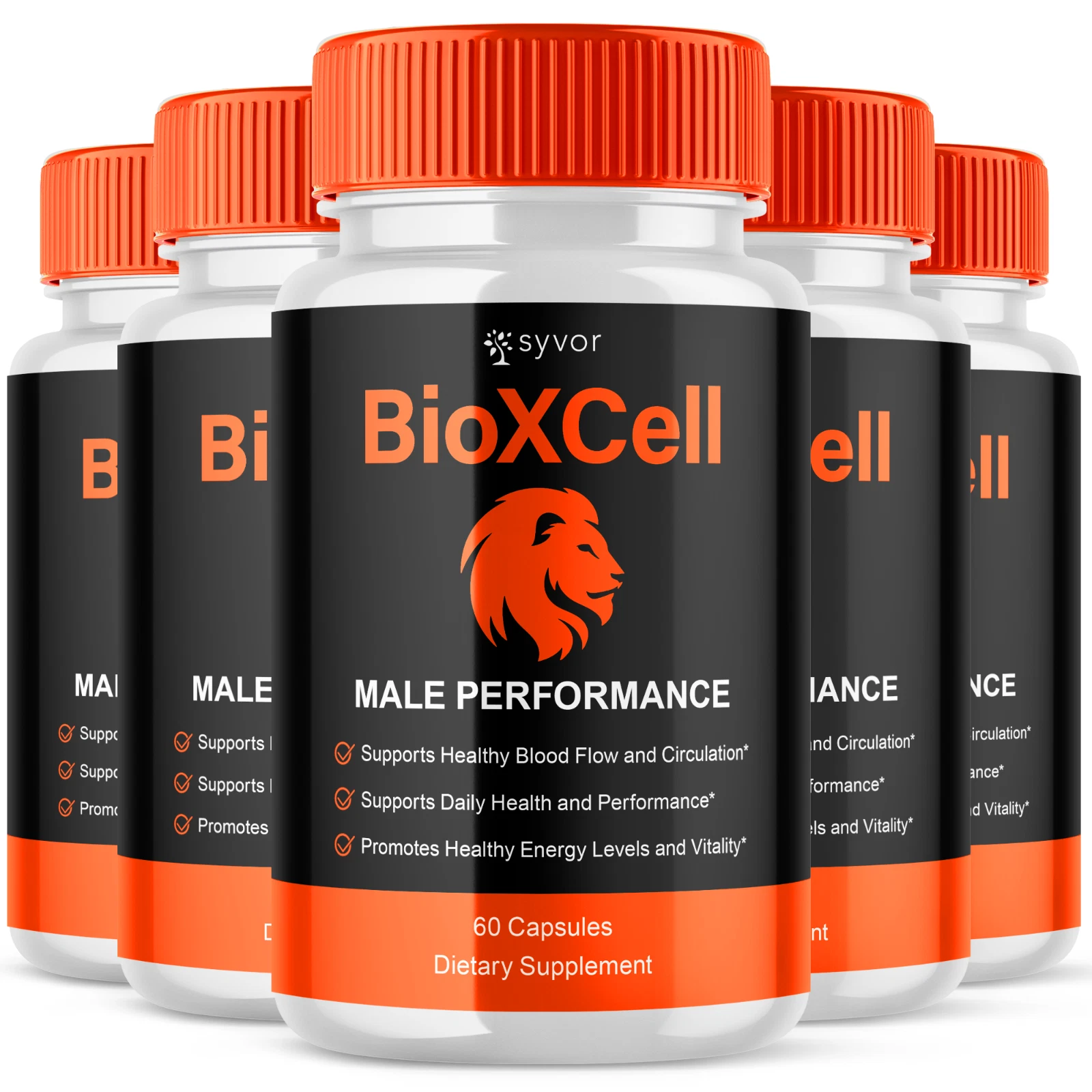 BioXCell 6 bottles